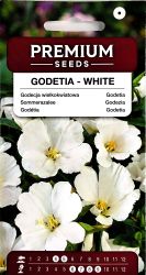 Godetia White Seeds